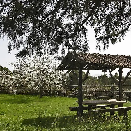 La Cerquilla Chalet Segovia
