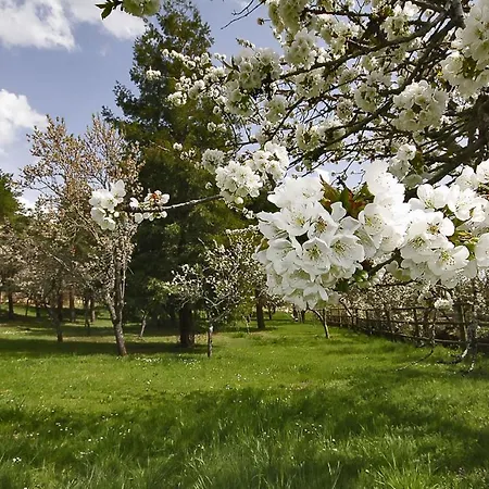 La Cerquilla * Segovia